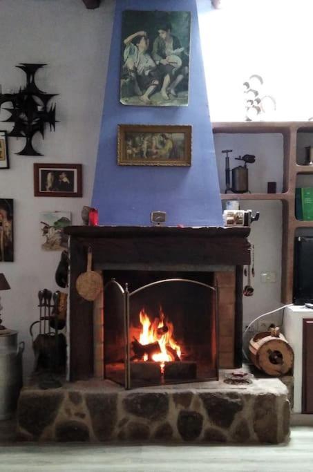 Rural House To Take A Break, La Serreria 25 - Private Garden Tacoronte Εξωτερικό φωτογραφία