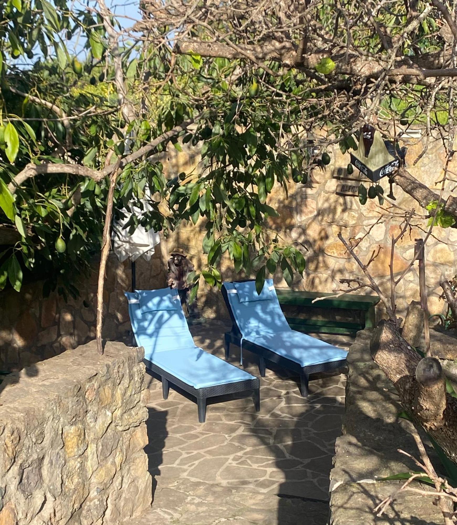 Rural House To Take A Break, La Serreria 25 - Private Garden Tacoronte Εξωτερικό φωτογραφία