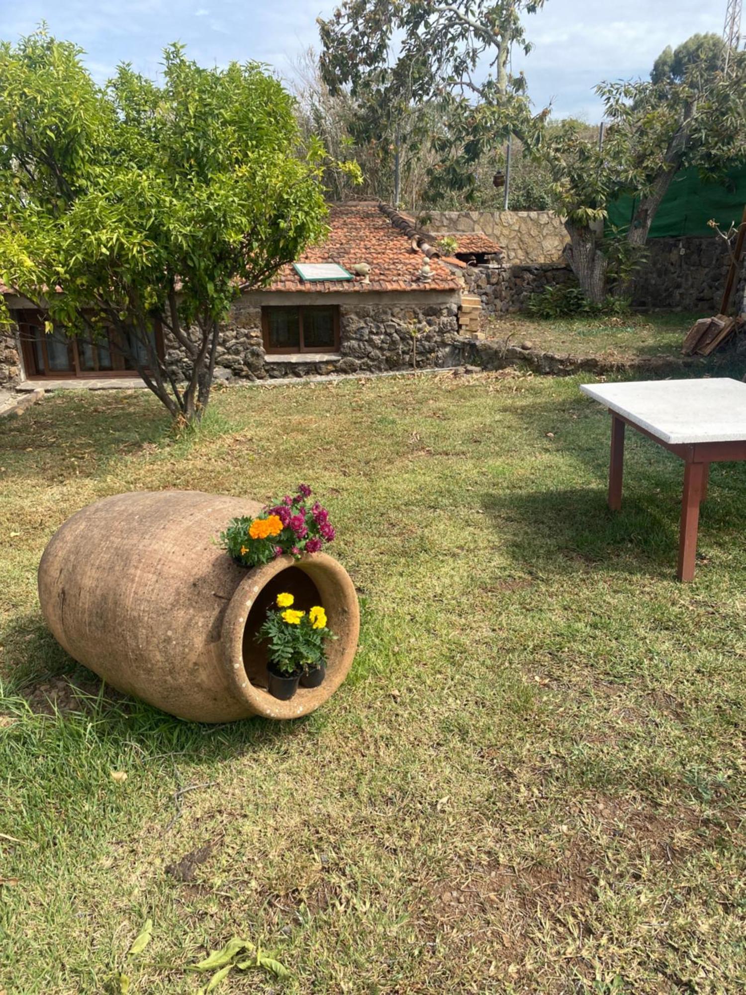 Rural House To Take A Break, La Serreria 25 - Private Garden Tacoronte Εξωτερικό φωτογραφία
