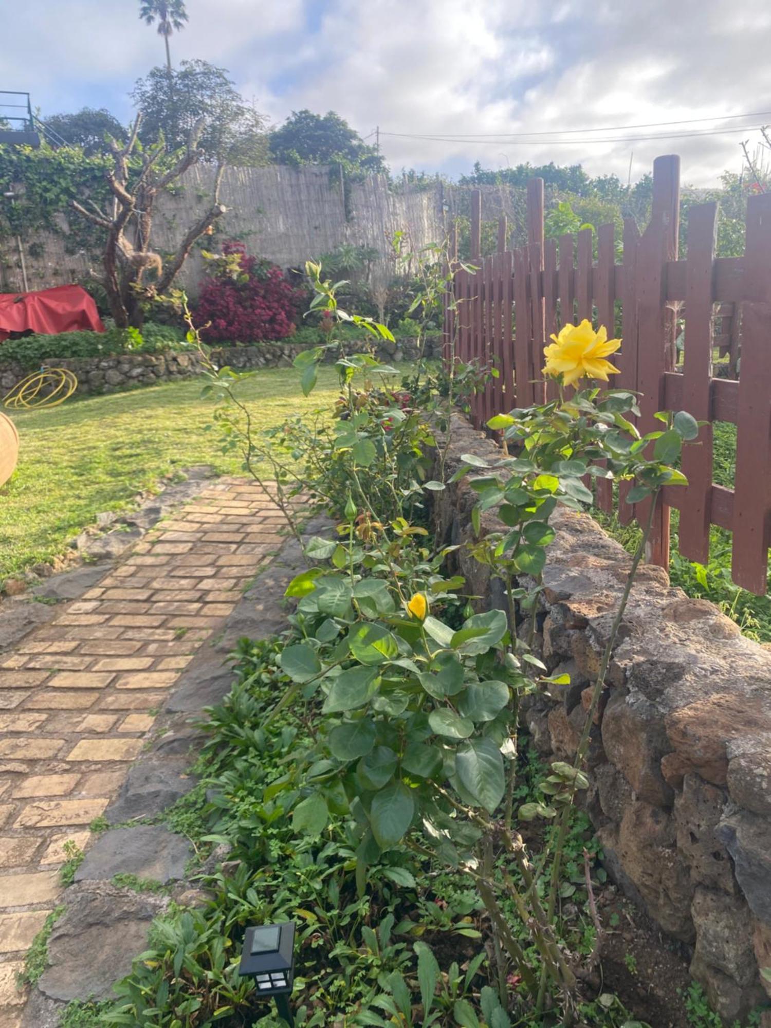 Rural House To Take A Break, La Serreria 25 - Private Garden Tacoronte Εξωτερικό φωτογραφία