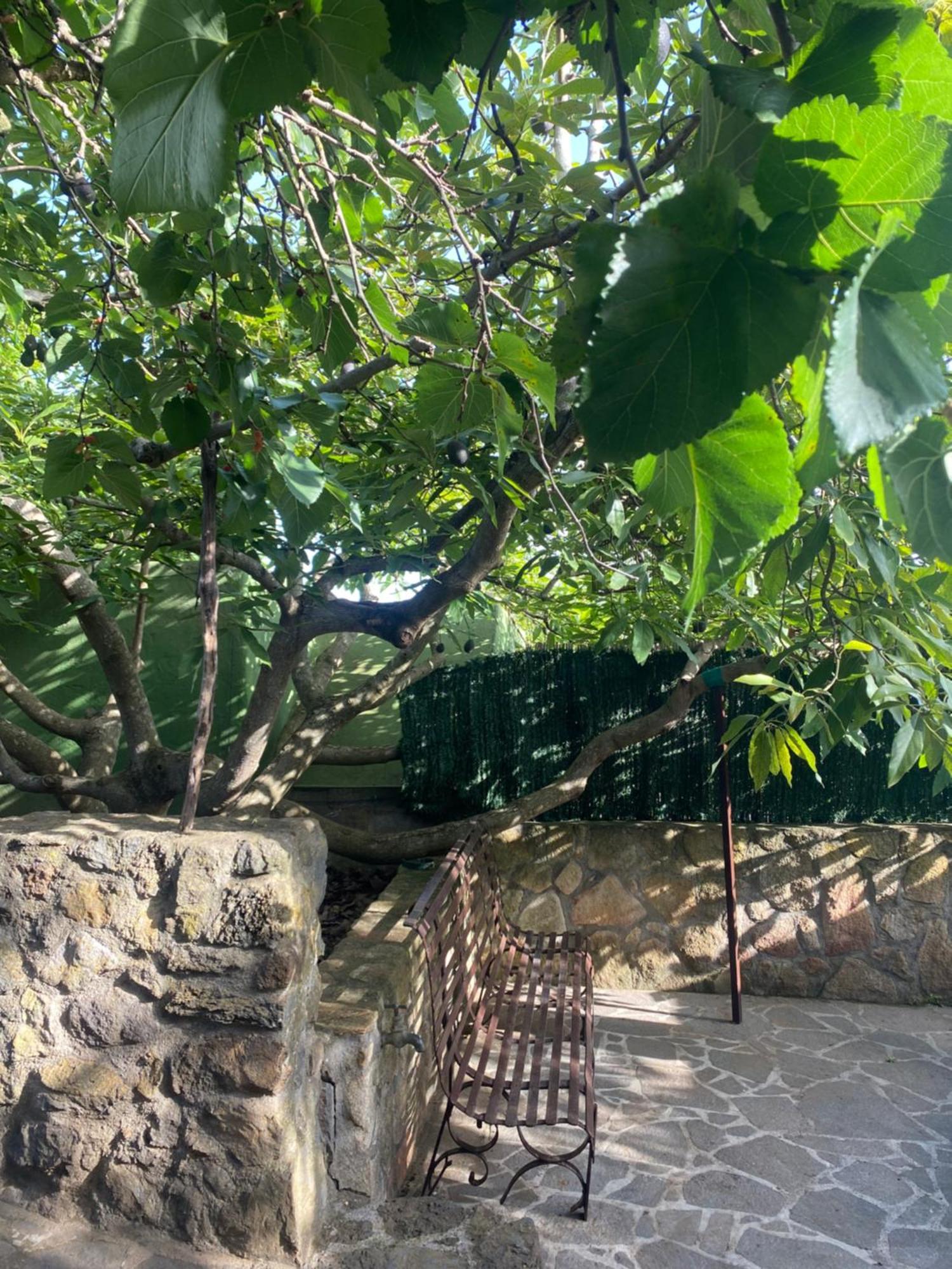 Rural House To Take A Break, La Serreria 25 - Private Garden Tacoronte Εξωτερικό φωτογραφία